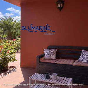 Tamarindo Blumarine - Pool & Wifi Free 4 Persons Corralejo